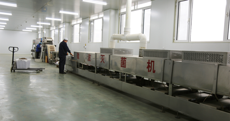 Microwave sterilization